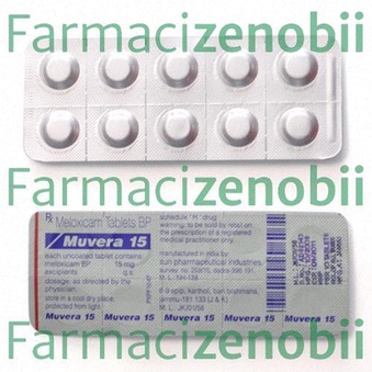 Mobic generico