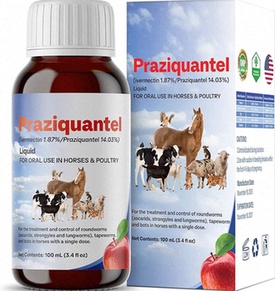 praziquantel
