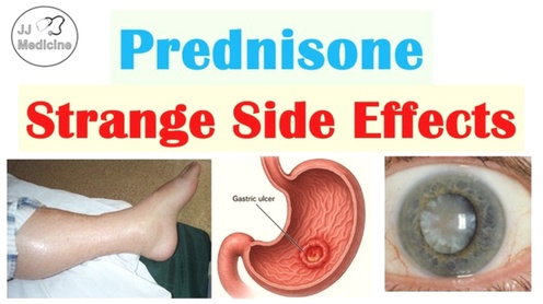 prednisone
